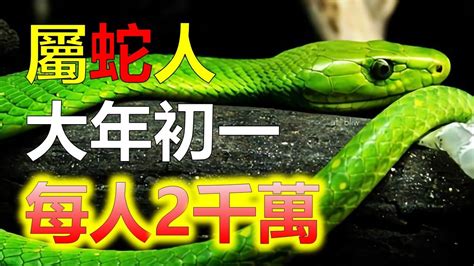 蛇適合什麼顏色|【屬蛇 顏色】屬蛇2024專屬配色攻略：揭密幸運色和禁忌色，助。